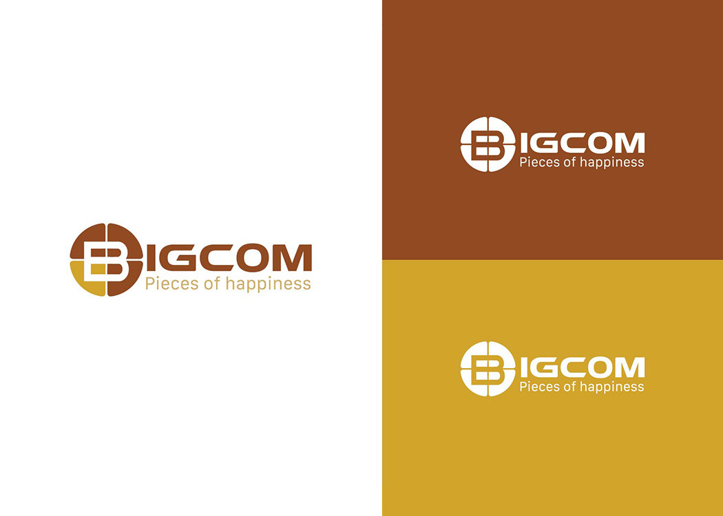 Thiết kế logo và sáng tạo tên thương hiệu công ty BIGCOM tại Hà Nội
